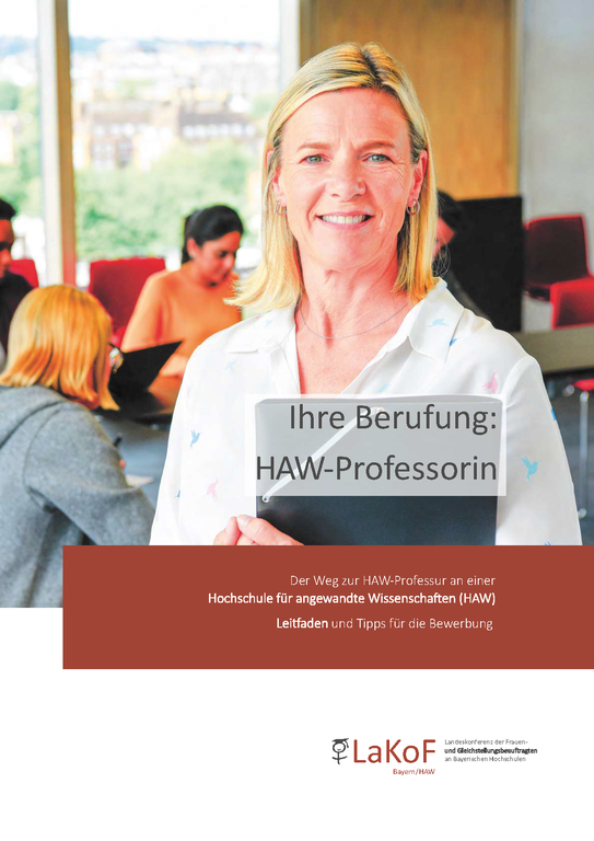 Broschüre_HAW-Professur